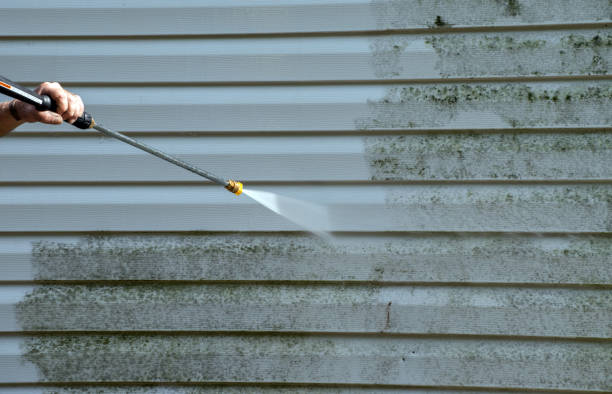 Professional Pressure Washing in Remington, IN